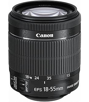 Amazon.co.jp: Canon Digital Single-Lens Reflex Camera EOS